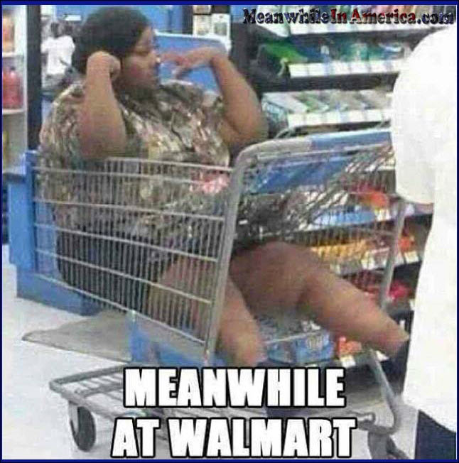 fat-lazy-nigga-bitch-walmart-shopping-cart-Meanwhile-In-America.jpg